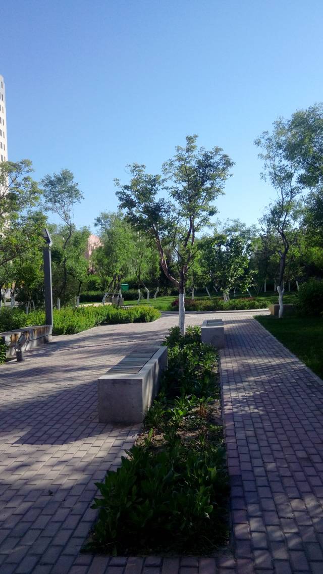 園林修剪基本知識(shí)